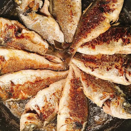 Rom Familiar Ρόζες